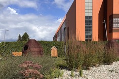 Zdjęcie: Na pierwszym planie ogród z niską zielenią i żwirową nawierzchnią, na drugim planie proste, drewniane wyposażenie placu zabaw i budynek w jaskrawo pomarańczowym kolorze.