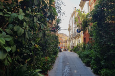 Wąska uliczka w historycznej zabudowie miejskiej. Ściany budynków ukryte za ścianą intensywnej zieleni.