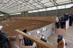 Zdjęcie przedstawia wnętrze ujeżdżalni w stadninie. Wnętrze o dużych rozmiarach z powierzchnią pokrytą piaskiem. Wnętrze sprawia wrażenie bardzo jasnego, pokryte jest wysokim dachem o przepuszczającym światło poszyciu. Na pierwszym planie obserwujący studenci.