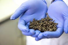 Nawóz organiczno-mineralny na bazie osadów ściekowych z dodatkiem mikroskładników mineralnych