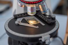 Najnowszej generacji mikroskop polaryzacyjny Panthera TEC POL trin z kamerą mikroskopową Pro-S5 Lite, fot. A. Surowiec