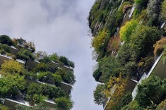 Zdjęcie wykonane ze skierowanym do góry obiektywem. Dwa wysokie budynki, których elewacje są niemal w całości pokryte zielenią na tle niebieskiego nieba.