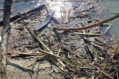 Odpady na brzegu rzeki Wisłok.