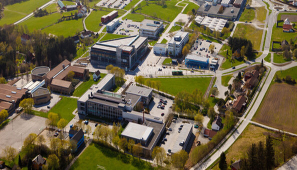 University of Stavenger