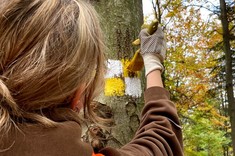 Członkinie Naukowego Koła Geodetów GLOB oznaczają szlak żółty