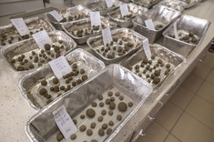 Eco-friendly aggregate. Photo: B. Motyka