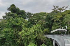 Zdjęcie: most dla pieszych całkowicie zatapia się w końcowym fragmencie w ścianę bujnej zieleni.
