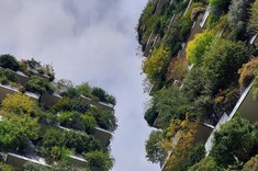 Zdjęcie wykonane ze skierowanym do góry obiektywem. Dwa wysokie budynki, których elewacje są niemal w całości pokryte zielenią na tle niebieskiego nieba.